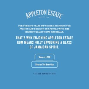 Paid Media Optimization Platform
